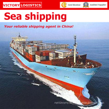 Nternational Shipping Service aus China (Express, Luftfracht, Seeschifffahrt)